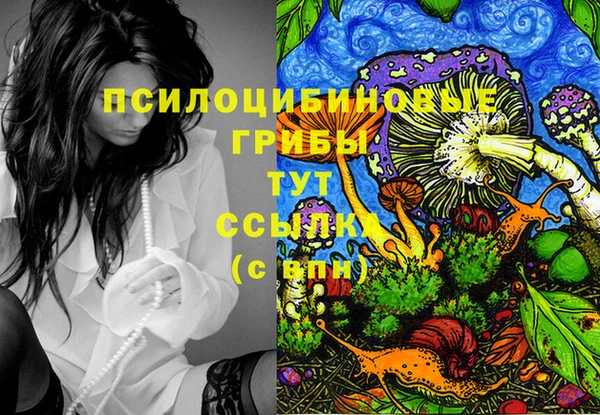 кокс Аркадак