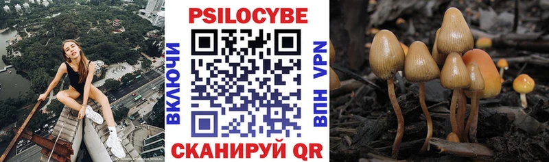 Псилоцибиновые грибы Psilocybe  Купить закладки  Лакинск 